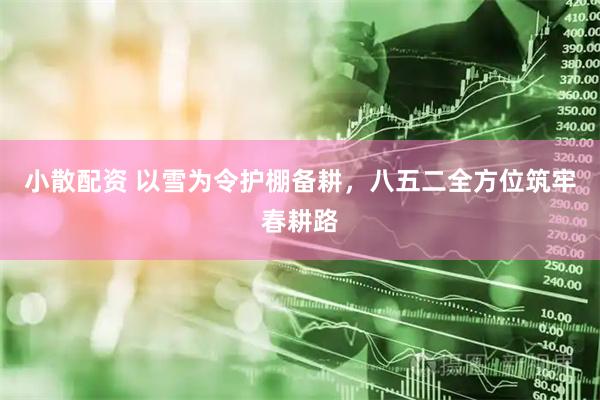 小散配资 以雪为令护棚备耕，八五二全方位筑牢春耕路