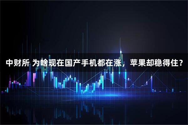 中财所 为啥现在国产手机都在涨，苹果却稳得住？