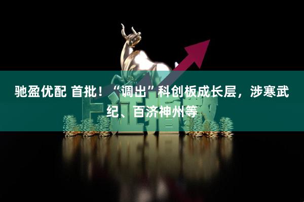 驰盈优配 首批！“调出”科创板成长层，涉寒武纪、百济神州等