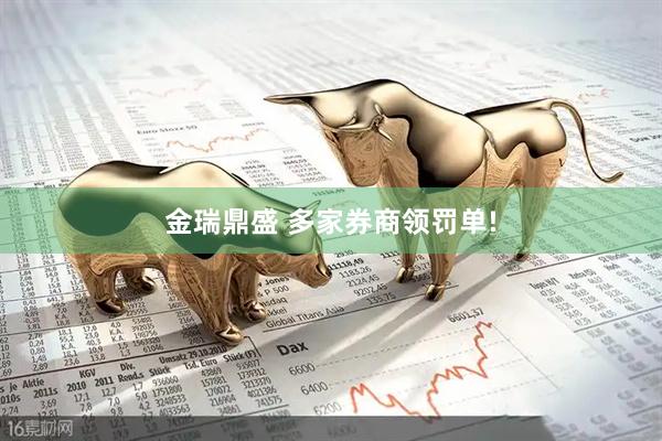 金瑞鼎盛 多家券商领罚单!