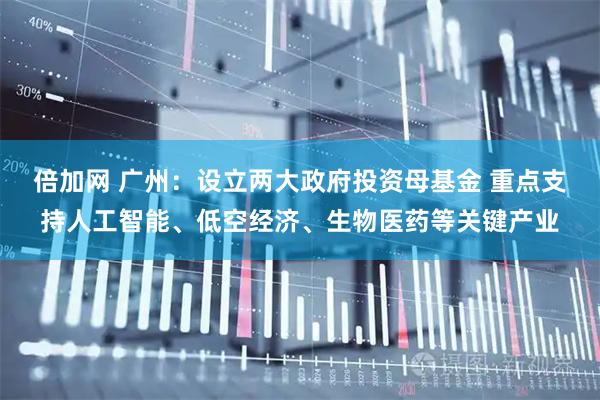 倍加网 广州：设立两大政府投资母基金 重点支持人工智能、低空经济、生物医药等关键产业