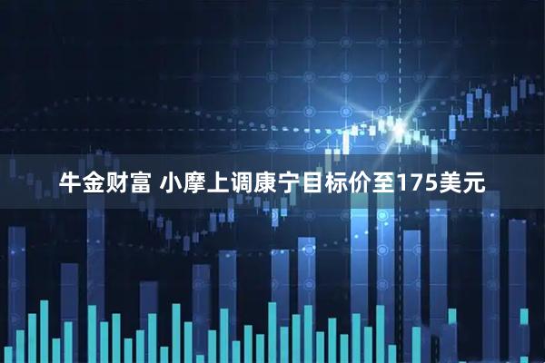 牛金财富 小摩上调康宁目标价至175美元
