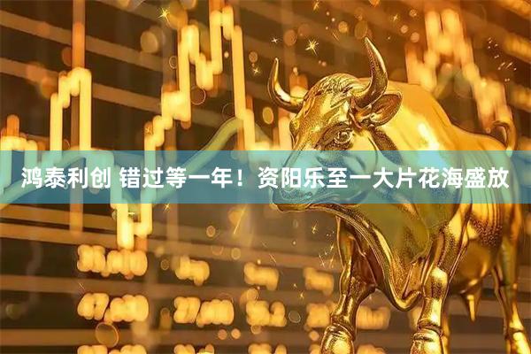 鸿泰利创 错过等一年！资阳乐至一大片花海盛放