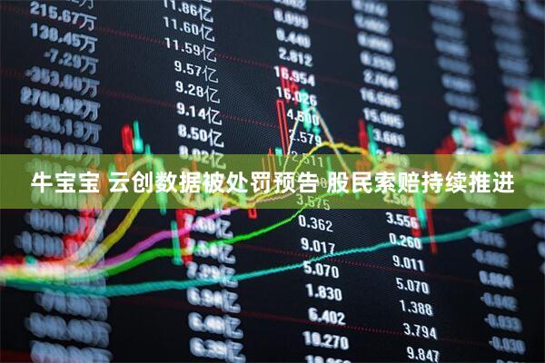 牛宝宝 云创数据被处罚预告 股民索赔持续推进
