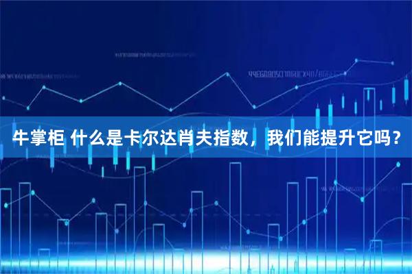 牛掌柜 什么是卡尔达肖夫指数，我们能提升它吗？