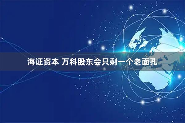 海证资本 万科股东会只剩一个老面孔