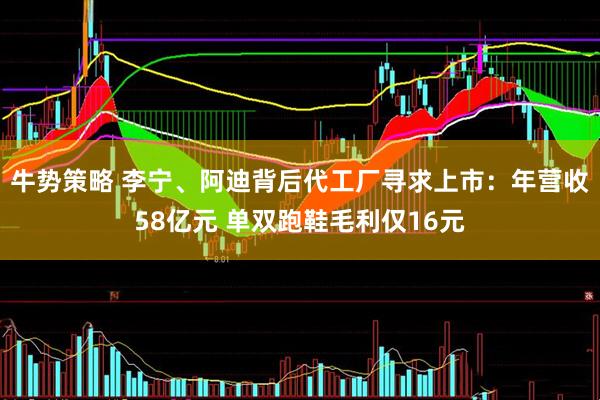 牛势策略 李宁、阿迪背后代工厂寻求上市：年营收58亿元 单双跑鞋毛利仅16元