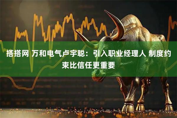 搭搭网 万和电气卢宇聪：引入职业经理人 制度约束比信任更重要