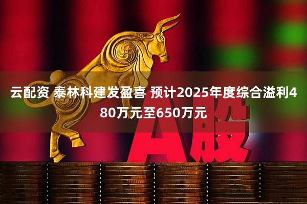 云配资 泰林科建发盈喜 预计2025年度综合溢利480万元至650万元