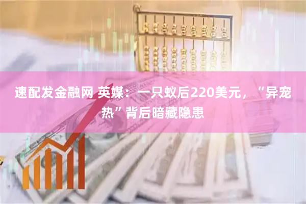 速配发金融网 英媒:一只蚁后220美元,“异宠热”背后暗藏隐患