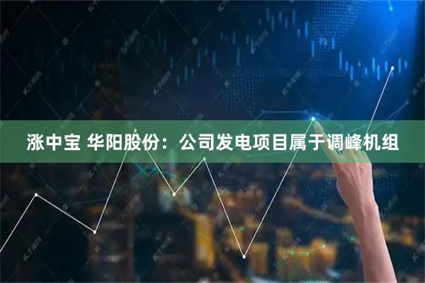 涨中宝 华阳股份：公司发电项目属于调峰机组
