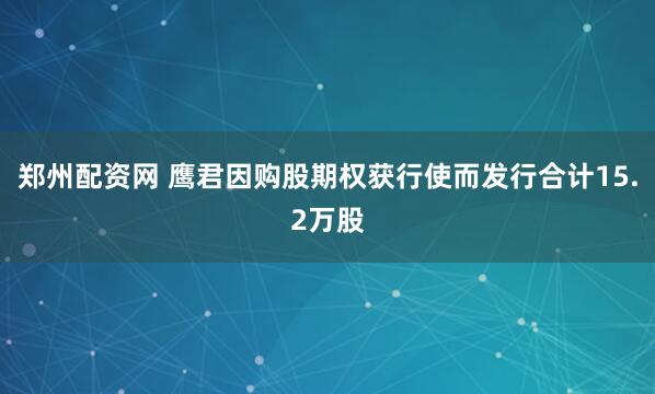 郑州配资网 鹰君因购股期权获行使而发行合计15.2万股