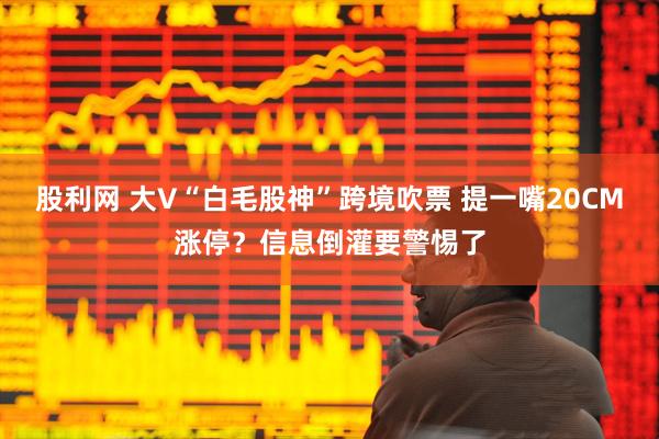 股利网 大V“白毛股神”跨境吹票 提一嘴20CM涨停？信息倒灌要警惕了