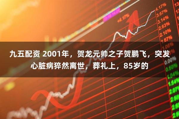九五配资 2001年，贺龙元帅之子贺鹏飞，突发心脏病猝然离世，葬礼上，85岁的