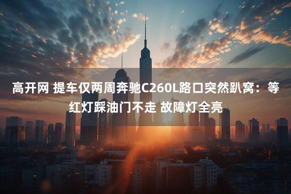 高开网 提车仅两周奔驰C260L路口突然趴窝：等红灯踩油门不走 故障灯全亮