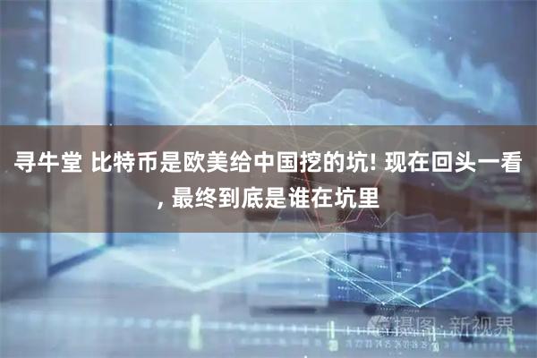 寻牛堂 比特币是欧美给中国挖的坑! 现在回头一看, 最终到底是谁在坑里