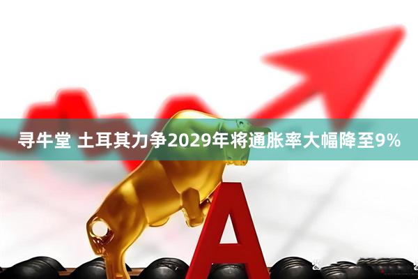寻牛堂 土耳其力争2029年将通胀率大幅降至9%